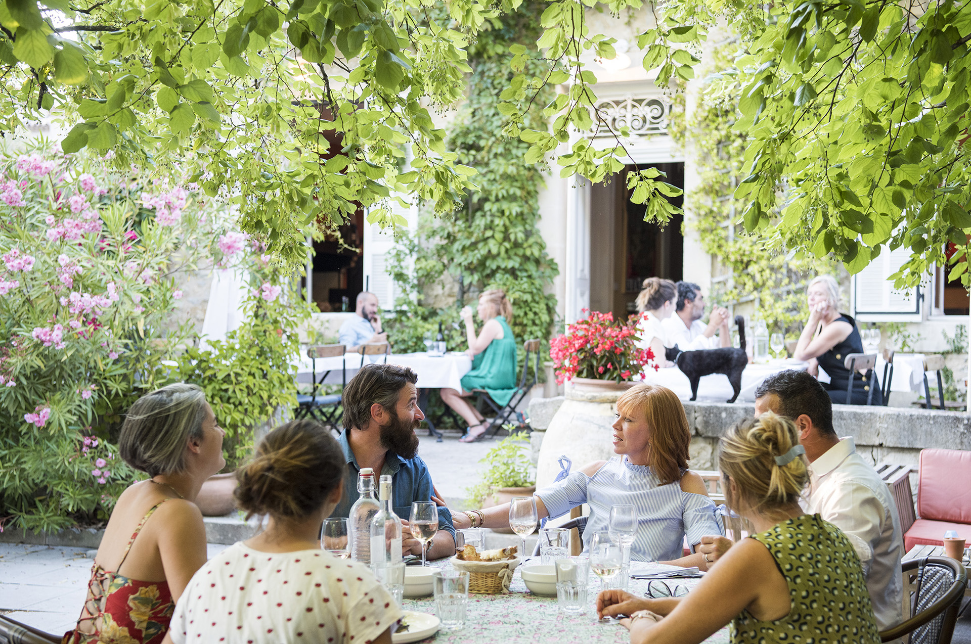 Witch are best restaurants in Luberon ?