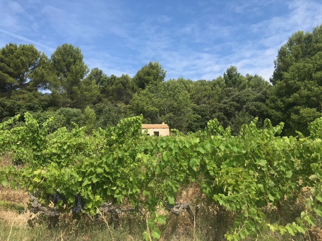 Cabanon Château Fontvert